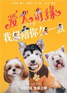 Ȯ澉