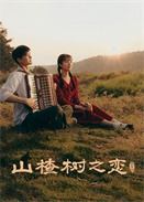 ɽ高֮